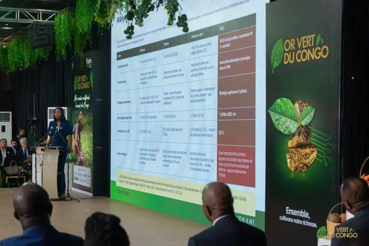 Cérémonie & plénière — Foire OR Vert du Congo 2026, photo 17