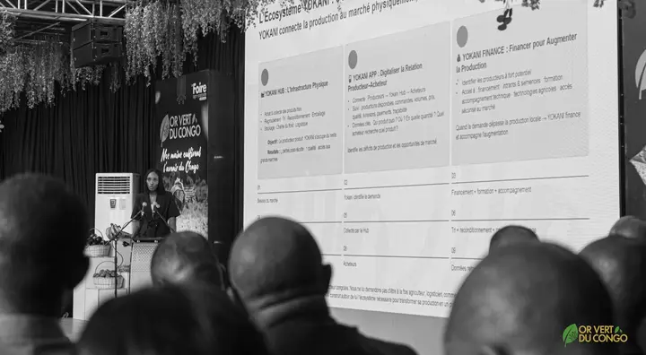 Cérémonie & plénière — Foire OR Vert du Congo 2026, photo 20