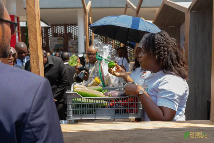 Visite officielle des stands — Foire OR Vert du Congo 2026, photo 21