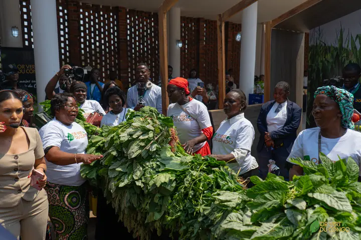 Visite officielle des stands — Foire OR Vert du Congo 2026, photo 38