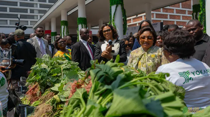 Visite officielle des stands — Foire OR Vert du Congo 2026, photo 41